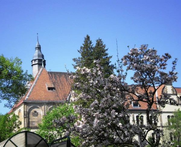 poliklinika