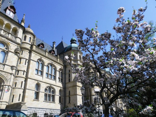 st muzea
