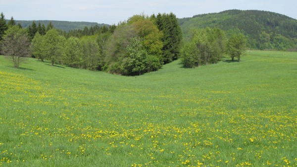 pod karlovskm lesem