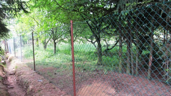plot