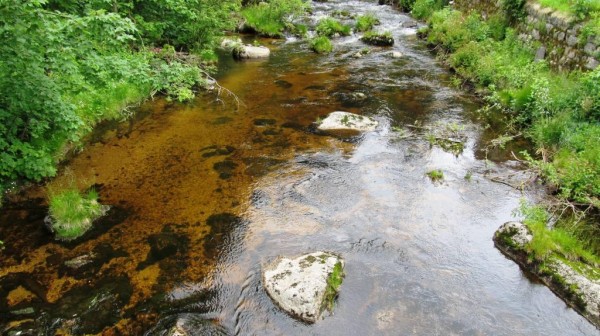 Kamenice