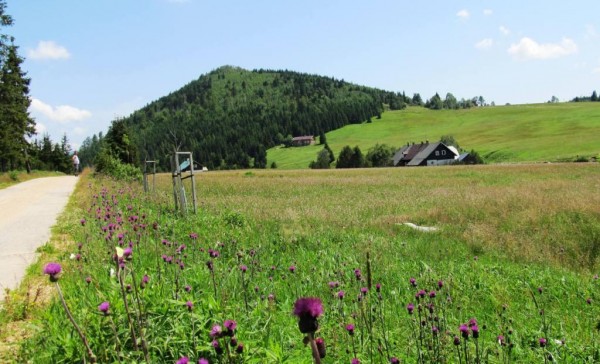 Bukovec