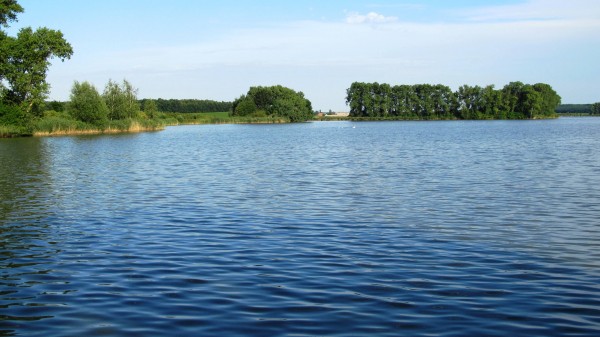 Zrcadlo