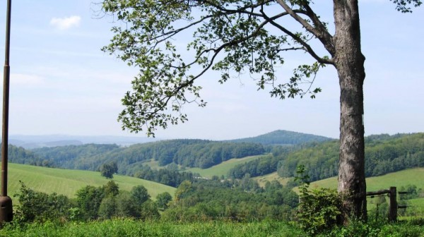 vhlede do krajiny