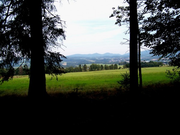 na kraji lesa