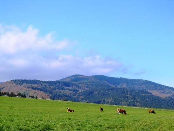 podzimn