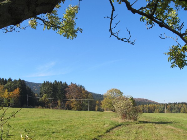 kousek od lesa