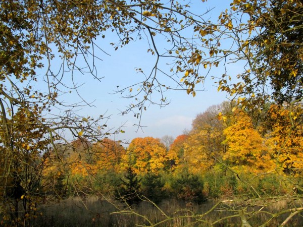 pan mal -podzim