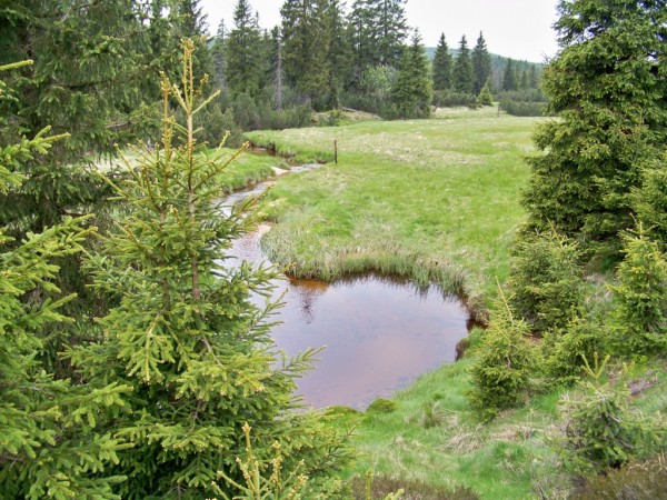 Jizerka 6