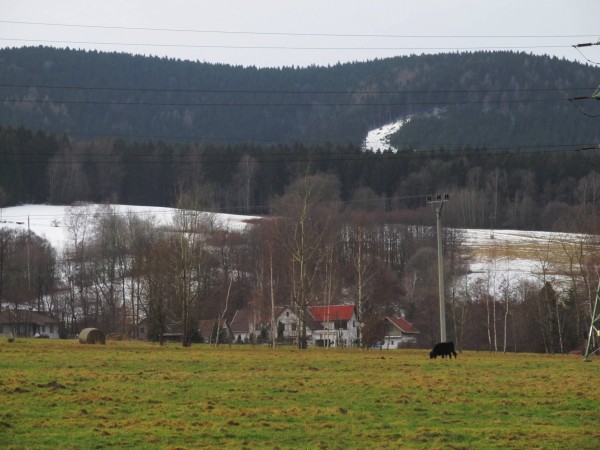 jako zjara