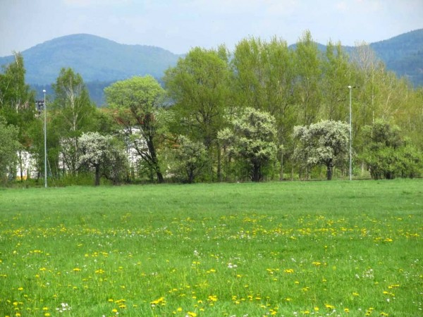 jarn louka