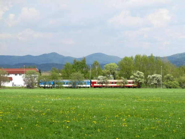 vlek