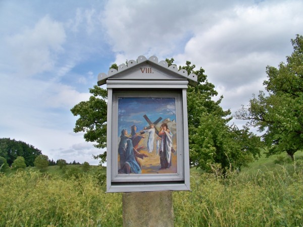kov cesta