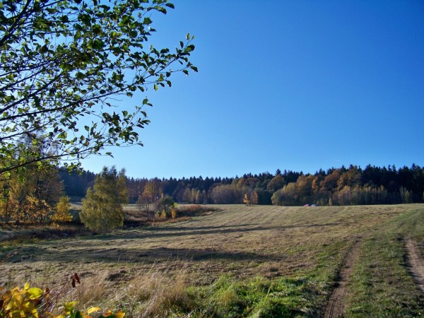 pod lesem