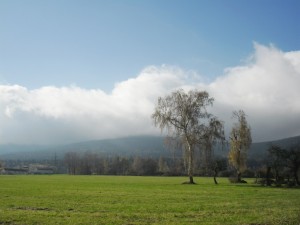 Jetd v mracch