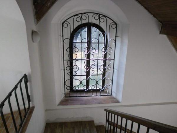 ve vi