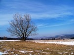 bezen 3