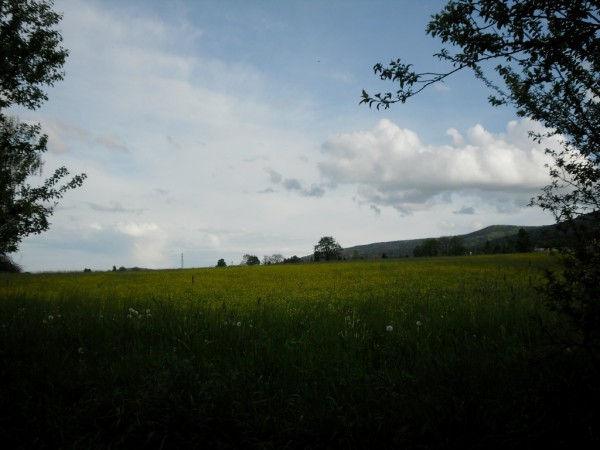 SAM_0016