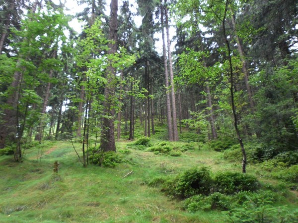 SAM_0259