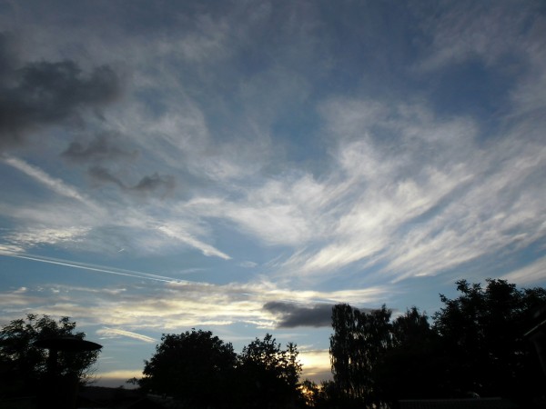 SAM_0468