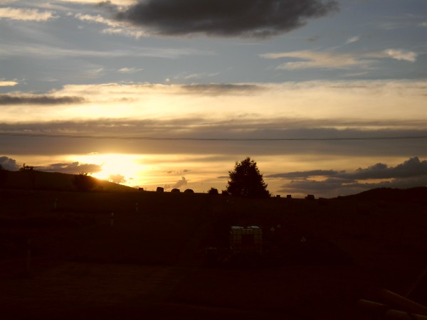 SAM_0471
