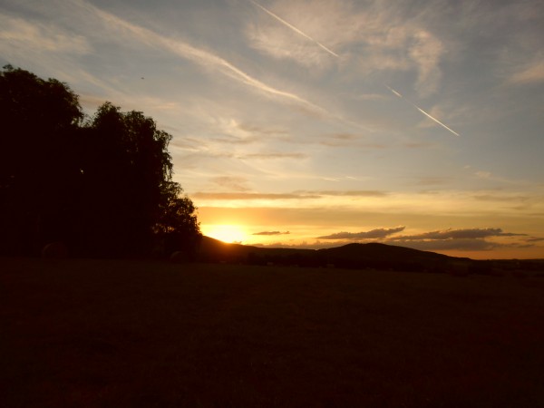 SAM_0486