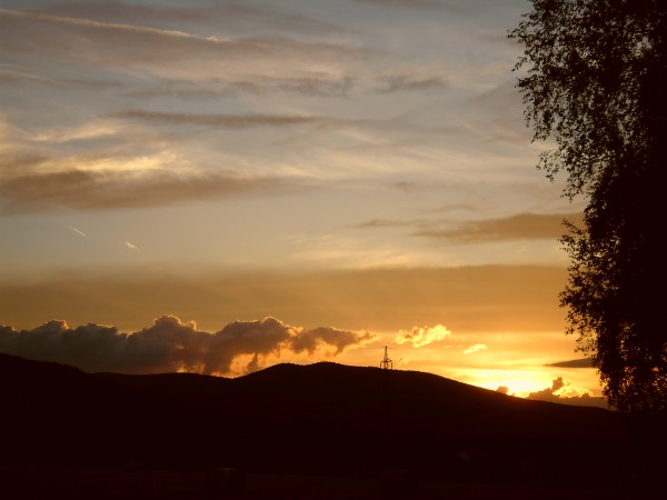 SAM_0497