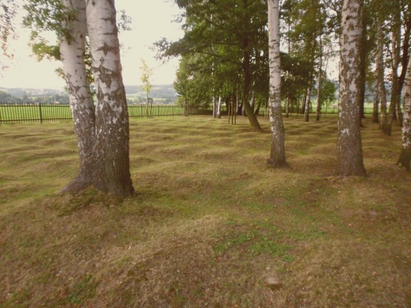 SAM_0498