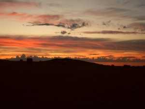 SAM_0525