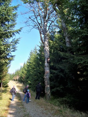 Na Olivetskou horu 028