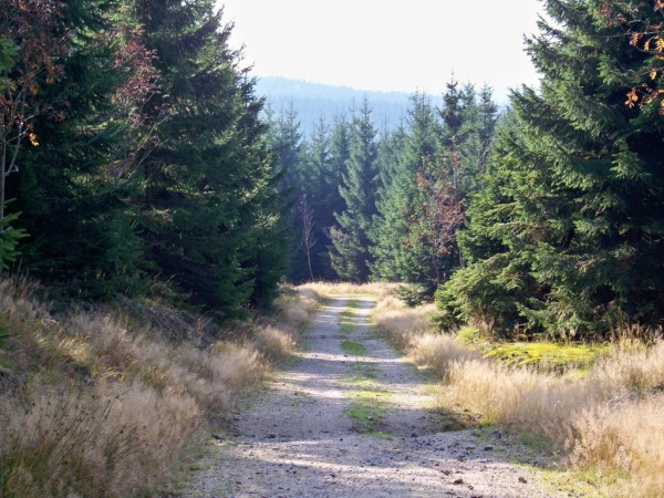 Na Olivetskou horu 039