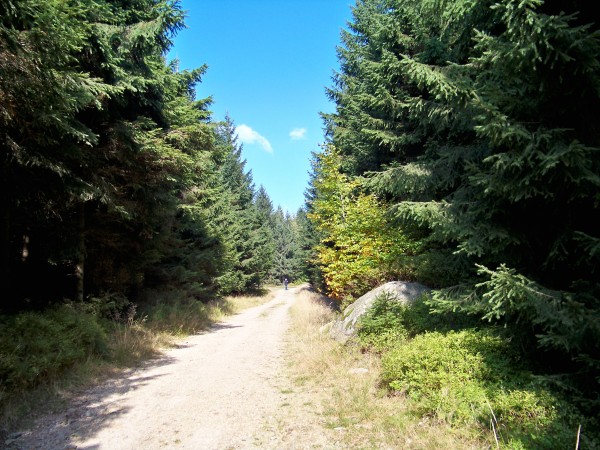 Na Olivetskou horu 051