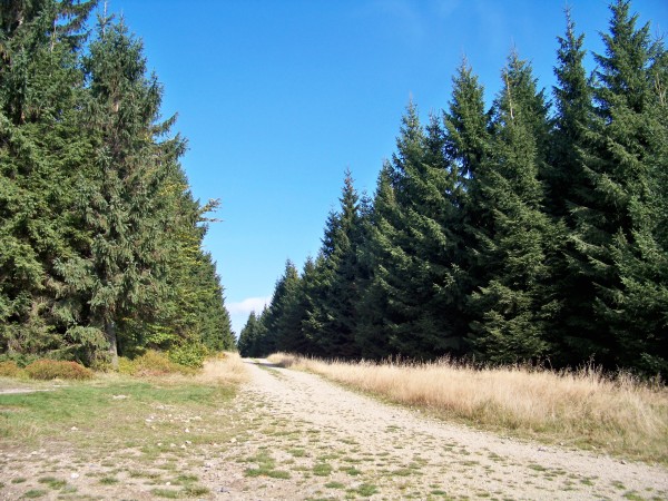 Na Olivetskou horu 056