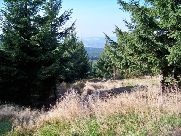 Na Olivetskou horu 065