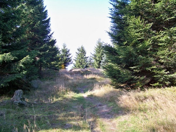 na vrcholu Olivetsk