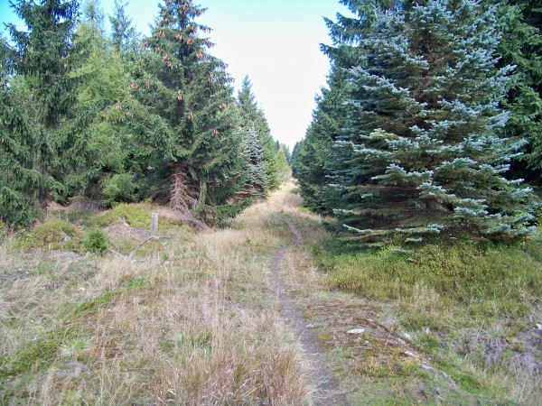Na Olivetskou horu 116