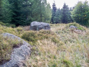 Na Olivetskou horu 106