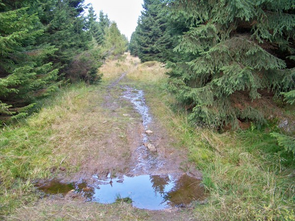 Na Olivetskou horu 113