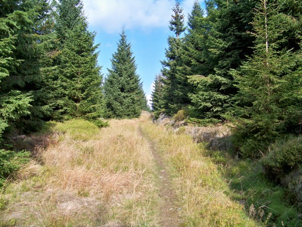 Na Olivetskou horu 124