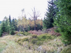 Na Olivetskou horu 128