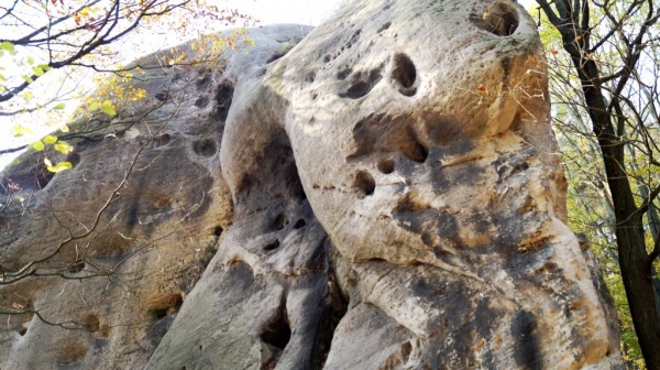 detail