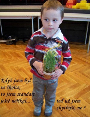 ve kolce