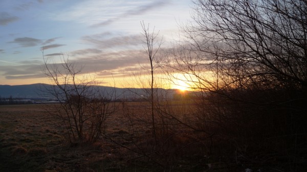 DSC01213