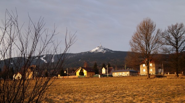 DSC01236