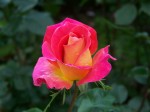 100_0568