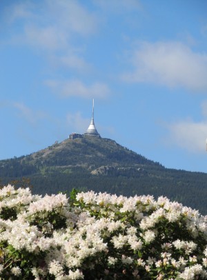 za nam rhododendronem