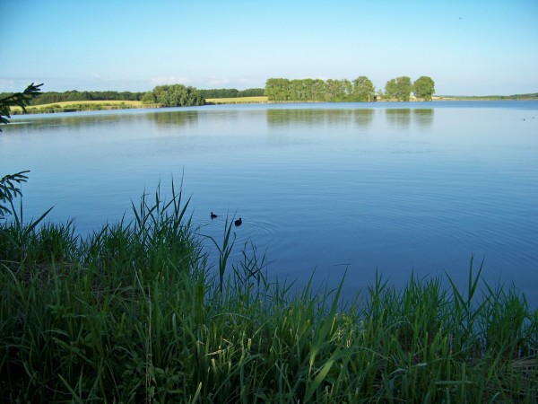 101_4350