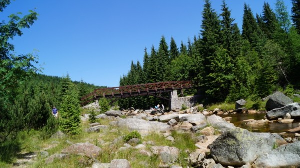 DSC01702