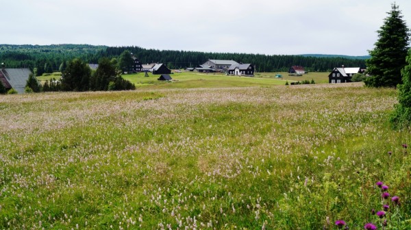 DSC01781