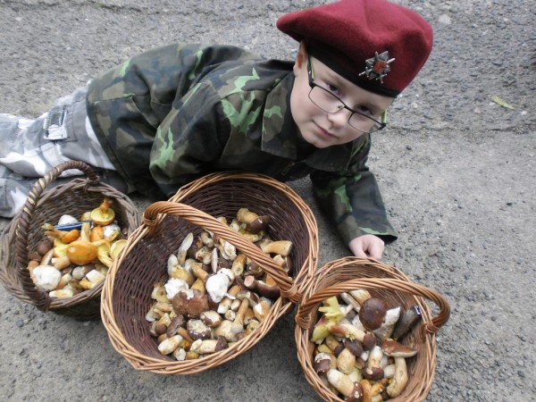 zlesk Ma